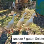 Freilandhof * Ötisheim