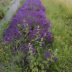 Agroturismo Freilandhof *