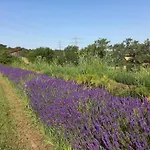 Freilandhof *