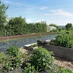 Freilandhof Agroturismo