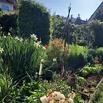 Freilandhof Agroturismo