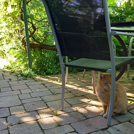 Freilandhof Ötisheim