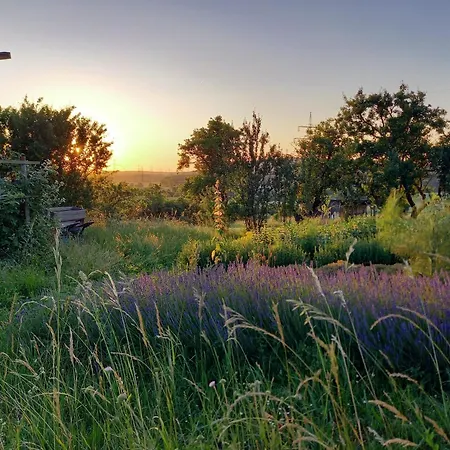 Freilandhof Alloggio per agriturismo *