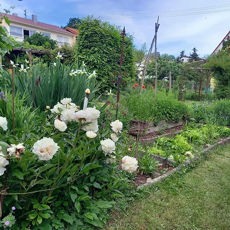 Freilandhof *
