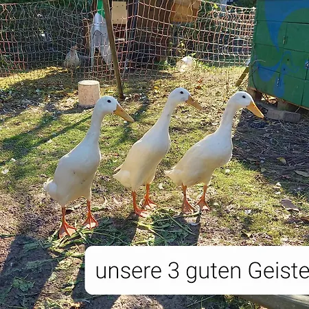 Freilandhof *