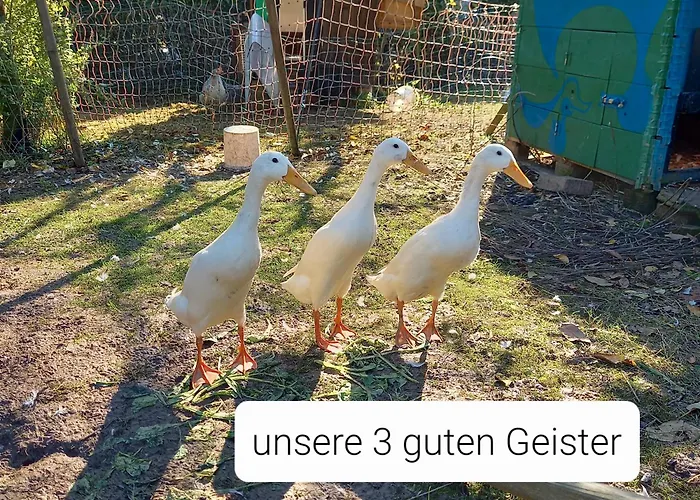 Freilandhof * Ötisheim