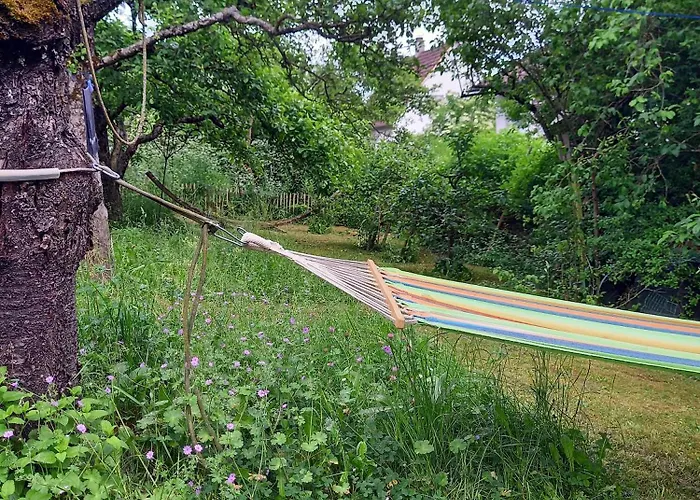 Alloggio per agriturismo Freilandhof *