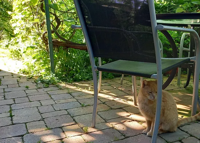 Freilandhof Ötisheim