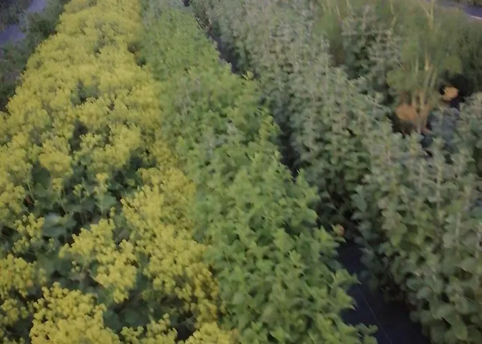 Freilandhof * Ötisheim